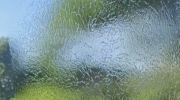 水性粘尘剂生产厂家：博莱富尔助力车间洁净管理