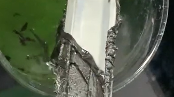 铝材高效脱漆新方案：博莱富尔浸泡型脱漆剂，还原洁净基材