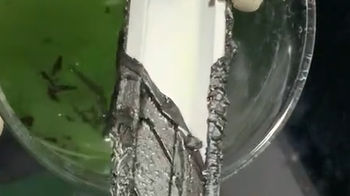 揭秘博莱富尔铝材脱漆剂：高效脱漆剂如何成为环保清洗剂的首选方案？